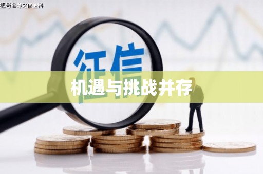 盐田机遇与挑战并存