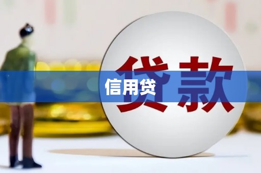 盐田信用贷