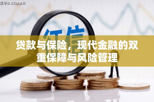 盐田贷款与保险，现代金融的双重保障与风险管理