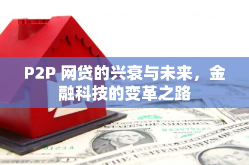 盐田P2P 网贷的兴衰与未来，金融科技的变革之路