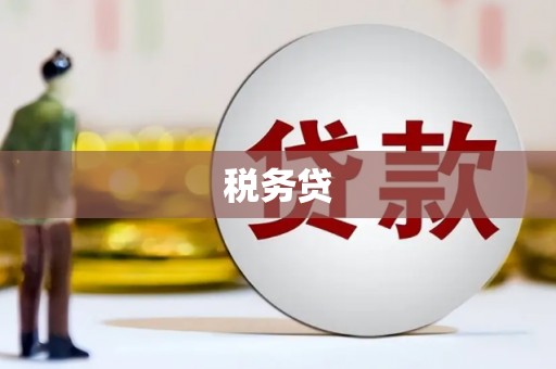 盐田税务贷