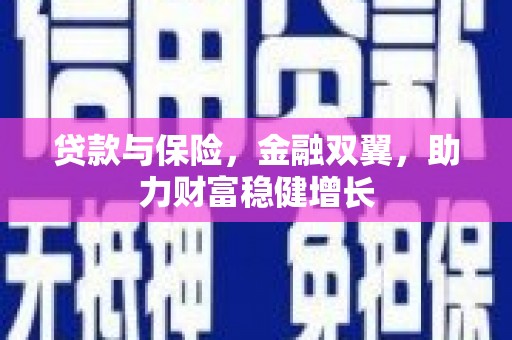 盐田贷款与保险，金融双翼，助力财富稳健增长