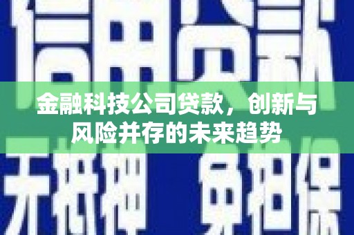 盐田金融科技公司贷款，创新与风险并存的未来趋势