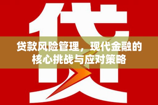盐田贷款风险管理，现代金融的核心挑战与应对策略