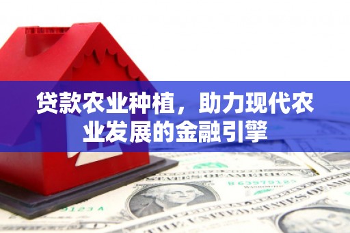 盐田贷款农业种植，助力现代农业发展的金融引擎