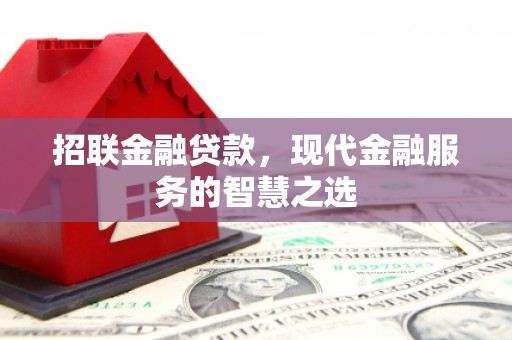盐田招联金融贷款，现代金融服务的智慧之选