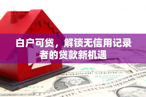 盐田白户可贷，解锁无信用记录者的贷款新机遇