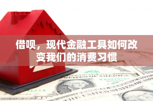 盐田借呗，现代金融工具如何改变我们的消费习惯