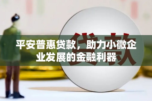 盐田平安普惠贷款，助力小微企业发展的金融利器
