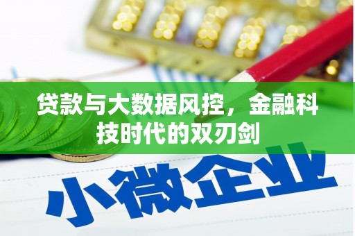 盐田贷款与大数据风控，金融科技时代的双刃剑
