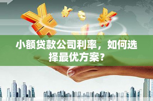 盐田小额贷款公司利率，如何选择最优方案？