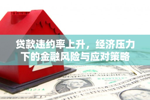 盐田贷款违约率上升，经济压力下的金融风险与应对策略