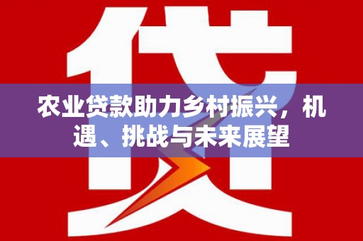 盐田农业贷款助力乡村振兴，机遇、挑战与未来展望