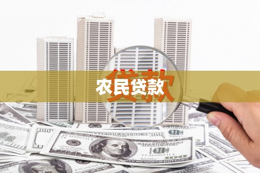 盐田农民贷款