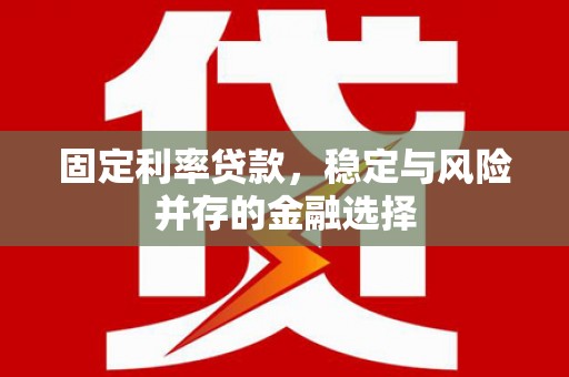 盐田固定利率贷款，稳定与风险并存的金融选择