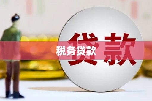 盐田税务贷款