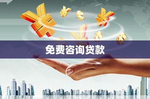 盐田免费咨询贷款