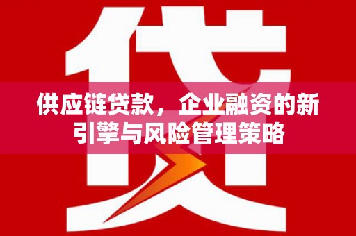 盐田供应链贷款，企业融资的新引擎与风险管理策略