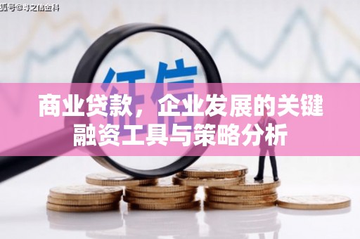 盐田商业贷款，企业发展的关键融资工具与策略分析