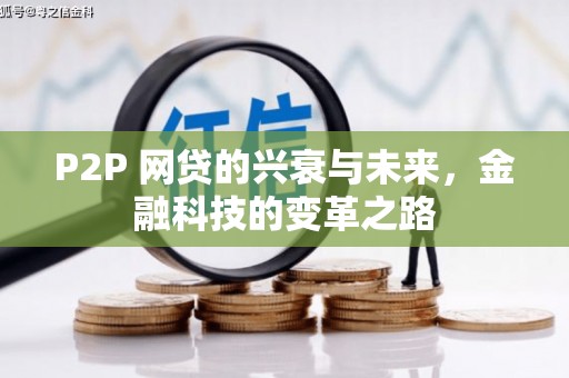 盐田P2P 网贷的兴衰与未来，金融科技的变革之路