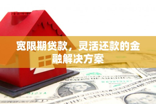 盐田宽限期贷款，灵活还款的金融解决方案