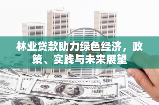盐田林业贷款助力绿色经济，政策、实践与未来展望