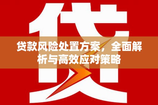 盐田贷款风险处置方案，全面解析与高效应对策略