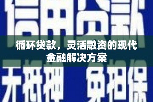 盐田循环贷款，灵活融资的现代金融解决方案