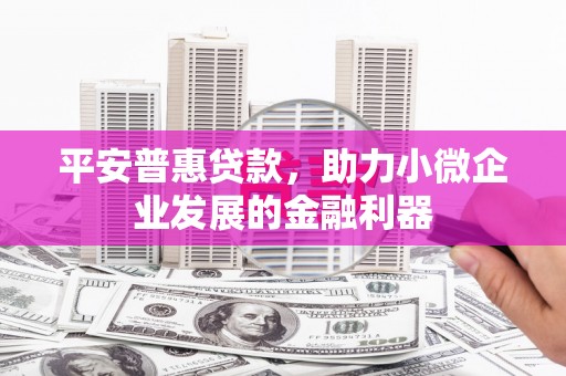 盐田平安普惠贷款，助力小微企业发展的金融利器