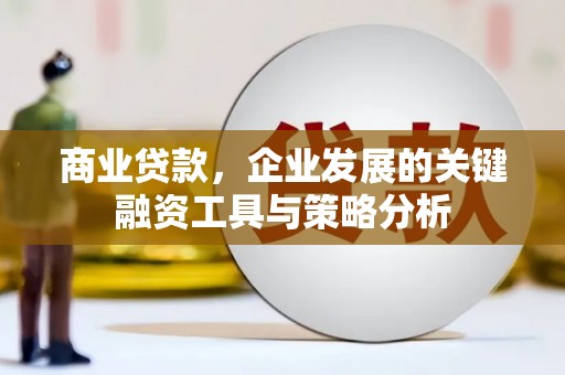 盐田商业贷款，企业发展的关键融资工具与策略分析