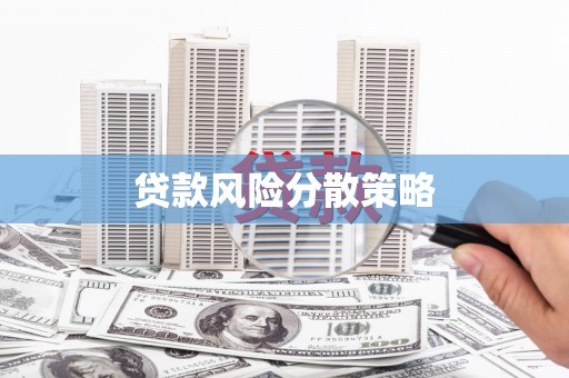 盐田贷款风险分散策略
