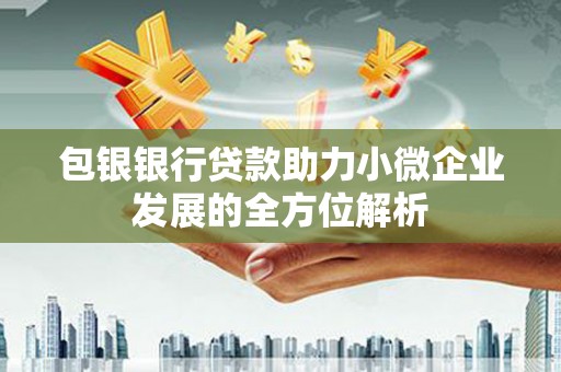盐田包银银行贷款助力小微企业发展的全方位解析