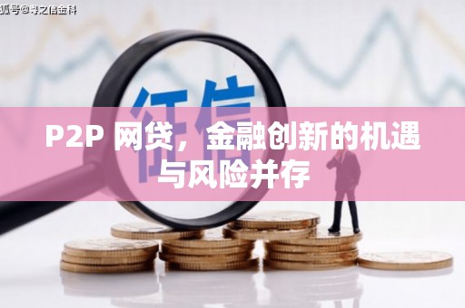 盐田P2P 网贷，金融创新的机遇与风险并存