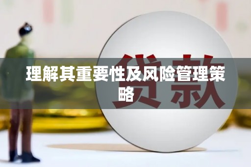 盐田理解其重要性及风险管理策略