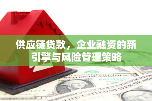 盐田供应链贷款，企业融资的新引擎与风险管理策略