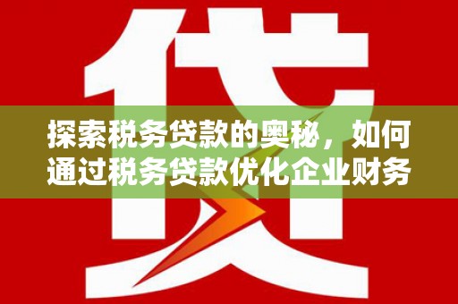 盐田探索税务贷款的奥秘，如何通过税务贷款优化企业财务