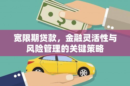 盐田宽限期贷款，金融灵活性与风险管理的关键策略