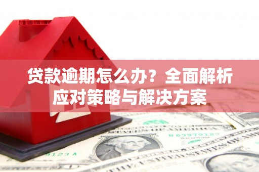 盐田贷款逾期怎么办？全面解析应对策略与解决方案