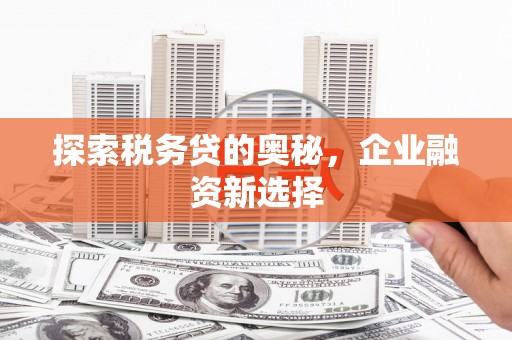 盐田探索税务贷的奥秘，企业融资新选择