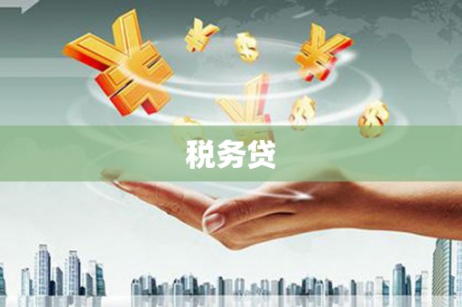 盐田税务贷