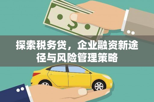 盐田探索税务贷，企业融资新途径与风险管理策略