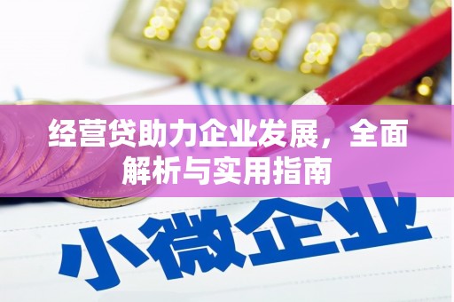 盐田经营贷助力企业发展，全面解析与实用指南