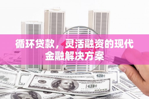 盐田循环贷款，灵活融资的现代金融解决方案