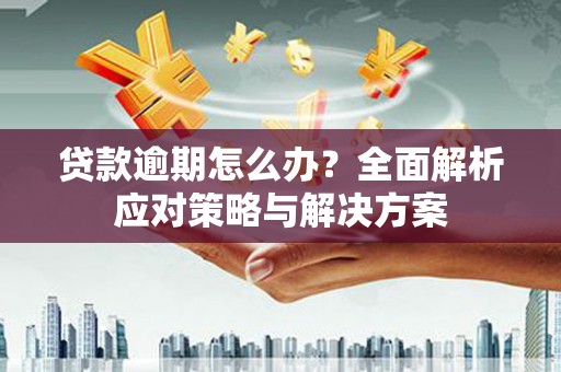 盐田贷款逾期怎么办？全面解析应对策略与解决方案