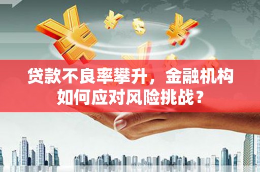 盐田贷款不良率攀升，金融机构如何应对风险挑战？