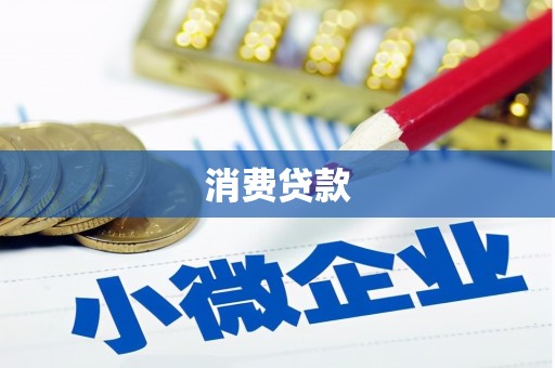 盐田消费贷款