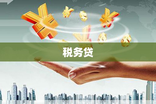 盐田税务贷