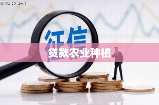 盐田贷款农业种植