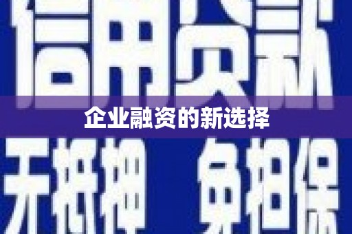 盐田企业融资的新选择