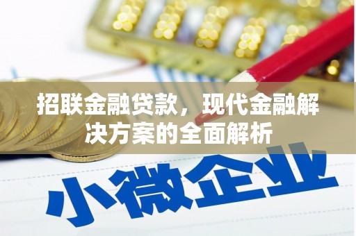 盐田招联金融贷款，现代金融解决方案的全面解析